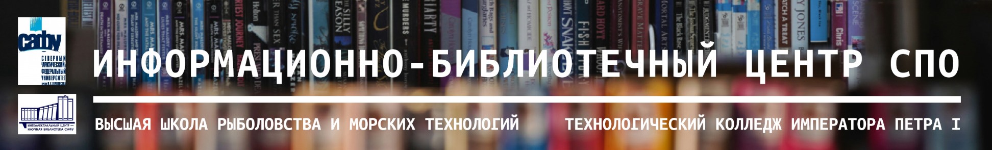 ИБЦ СПО